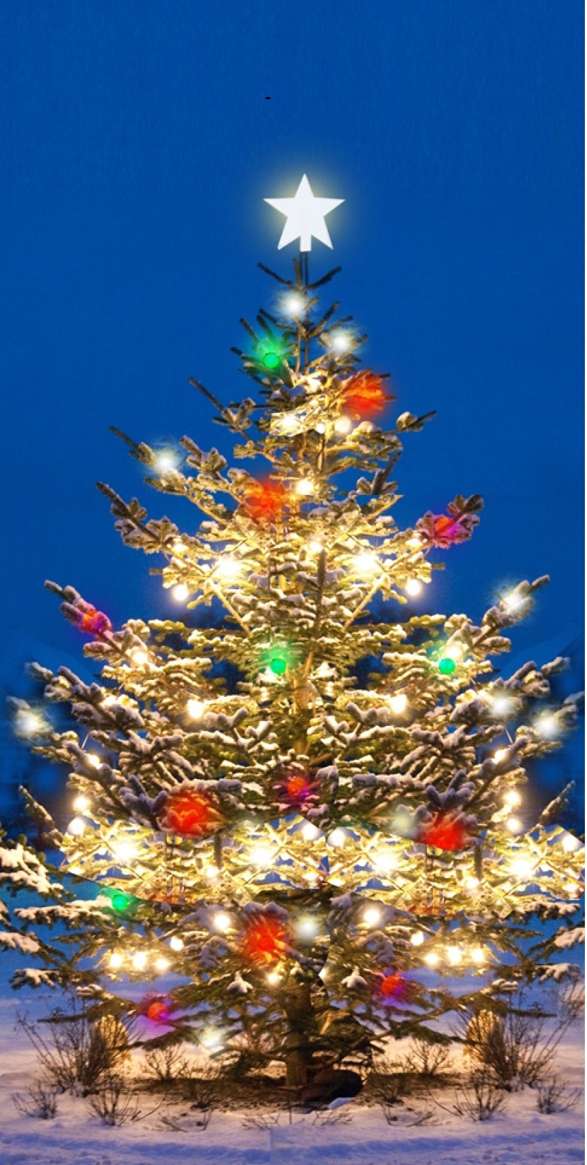 POZVÁNKA: rozsvícení vánočního stromu